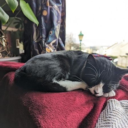 Single Room With Castle View Εδιμβούργο Εξωτερικό φωτογραφία